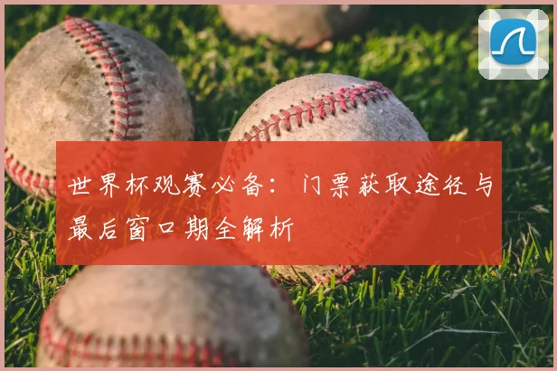 世界杯观赛必备:门票获取途径与最后窗口期全解析