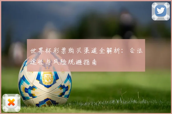 世界杯彩票购买渠道全解析：合法途径与风险规避指南