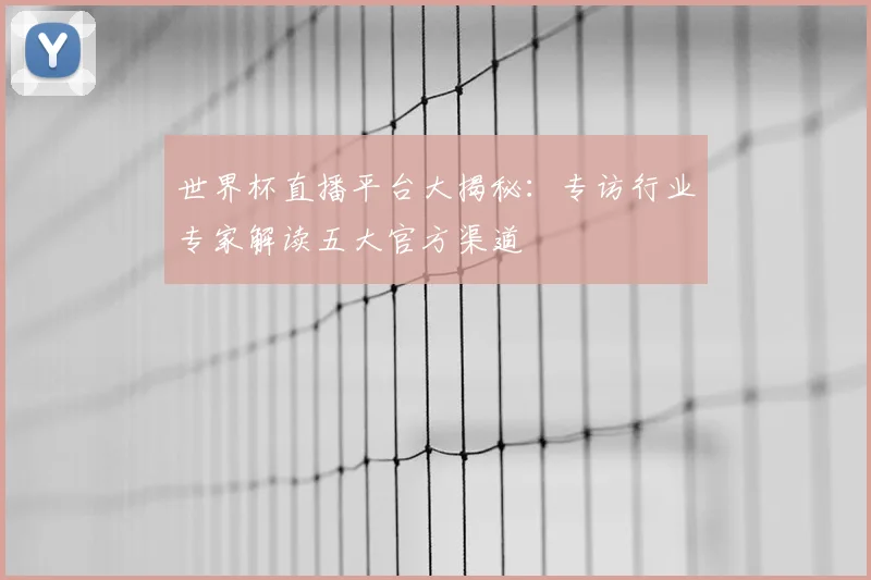 世界杯直播平台大揭秘:专访行业专家解读五大官方渠道
