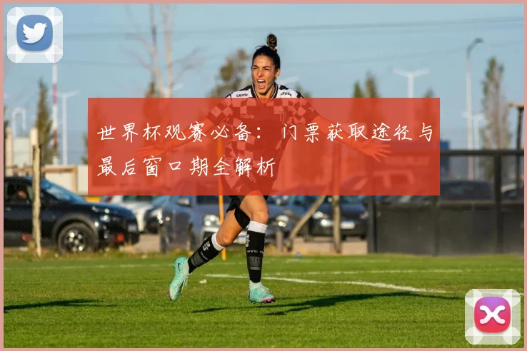 世界杯观赛必备:门票获取途径与最后窗口期全解析