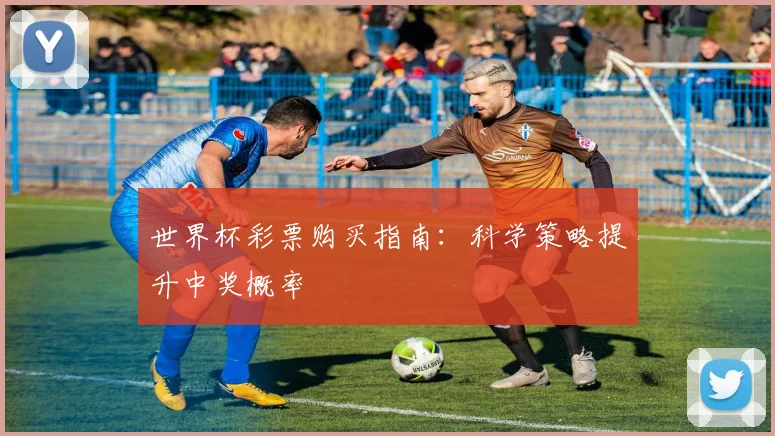 世界杯彩票购买指南：科学策略提升中奖概率