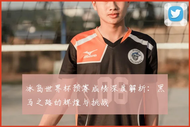 冰岛世界杯预赛成绩深度解析：黑马之路的辉煌与挑战