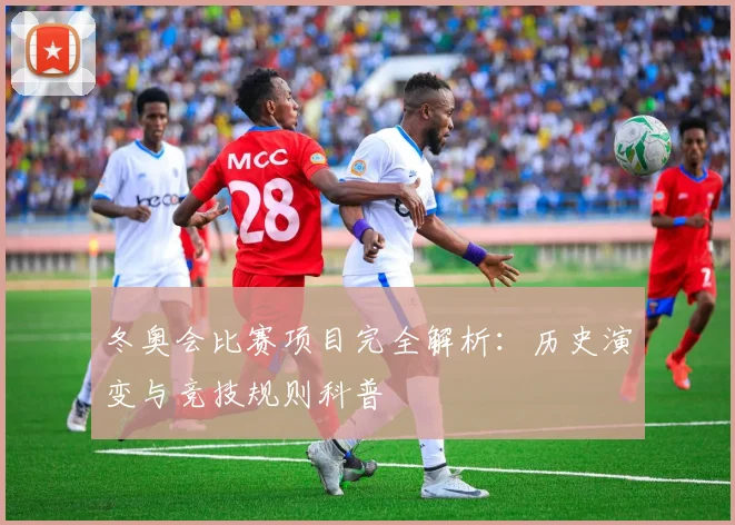 冬奥会比赛项目完全解析：历史演变与竞技规则科普