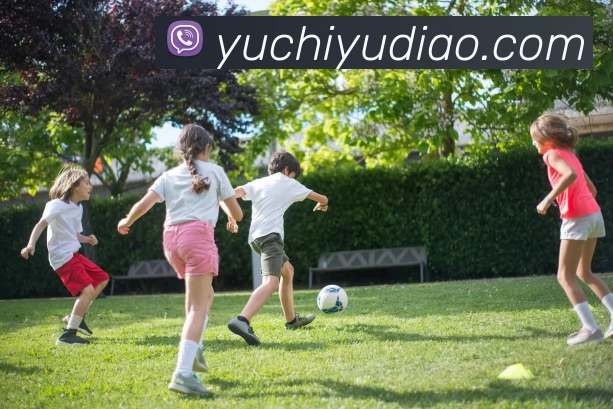 熊猫体育app官网入口平台生态图